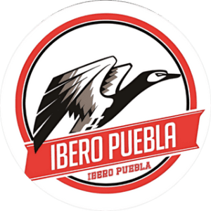 Cuervos negros Flag Football